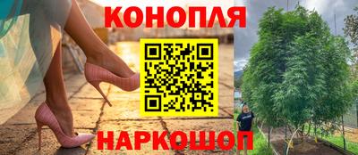Альфа ПВП Ликино-Дулёво