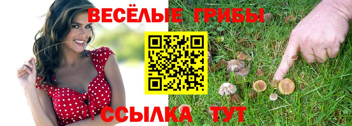 Дедовск  Галлюциногенные грибы Psilocybine cubensis  Вход с VPN 